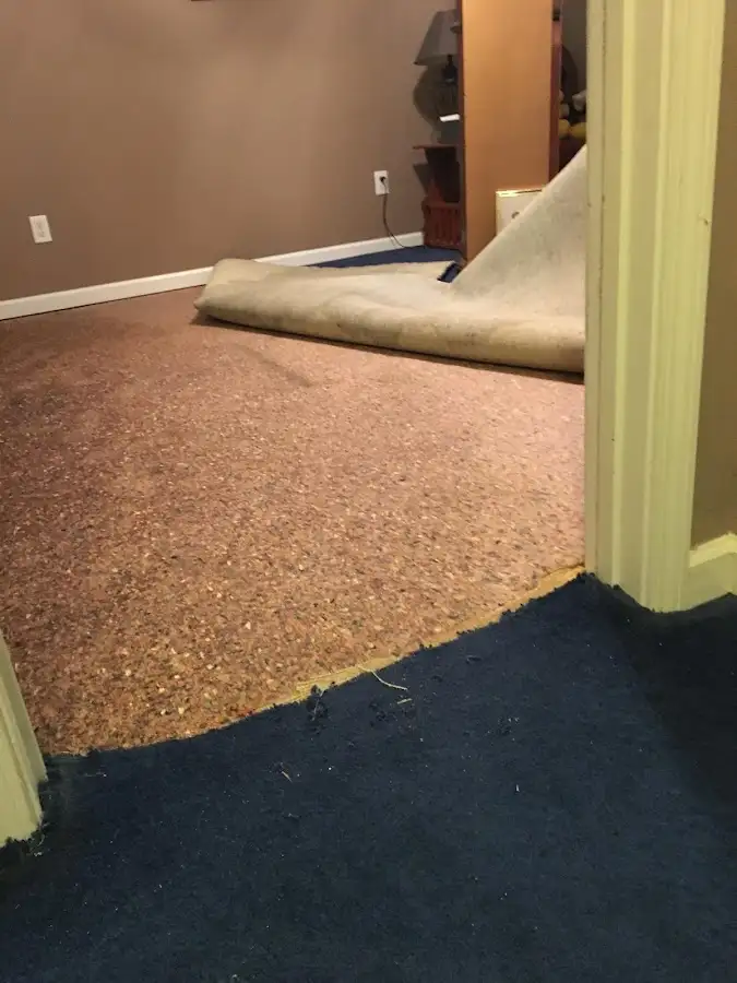 Carpet pad removal revealing water damage during Drying & Dehumidification in Nashville
