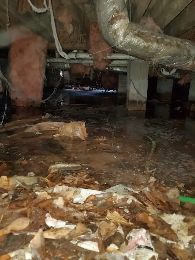 Crawl space flood assessment for Leak Detection & Repair in Nashville